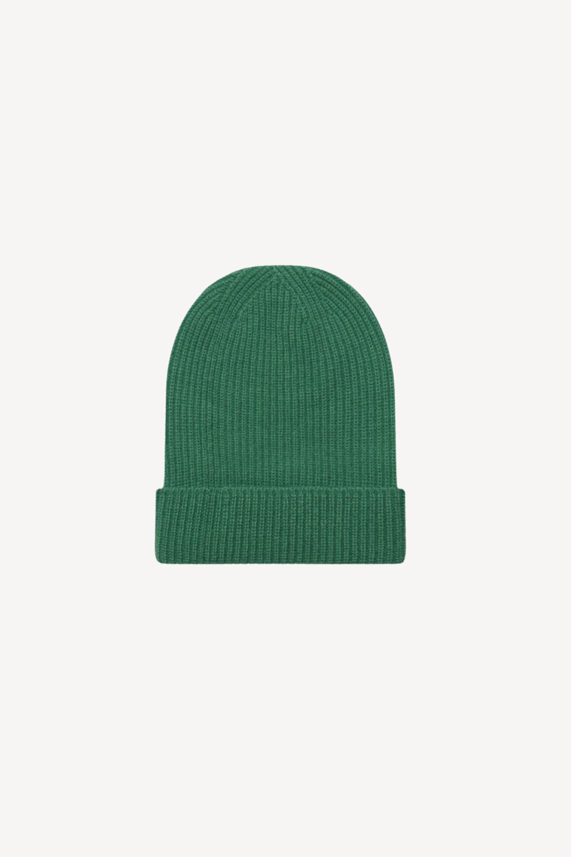 Statesman Beanie in Fern